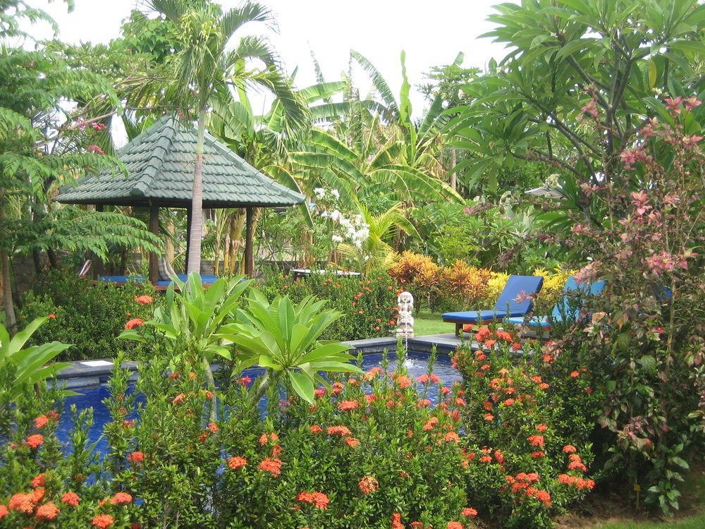 Amed Harmony Bungalows And Villas Eksteriør bilde